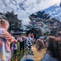 Family fun day entertainment including bubble shows, face painting and crafts