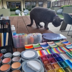 Cat investigating my face painting setup at a party in London